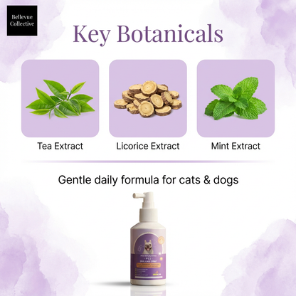 No-Brush Pet Dental Spray for Dogs & Cats (50ml) | Fresh Breath + Plaque & Tartar Control | Tea, Licorice & Mint Extract