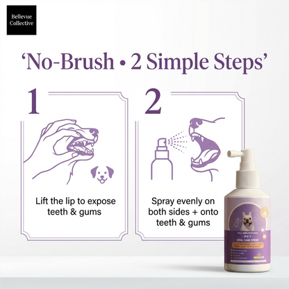 No-Brush Pet Dental Spray for Dogs & Cats (50ml) | Fresh Breath + Plaque & Tartar Control | Tea, Licorice & Mint Extract
